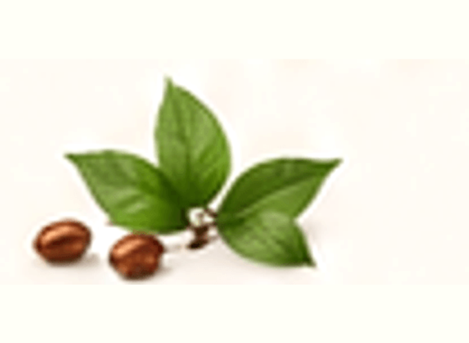 Cafeína de origen vegetal